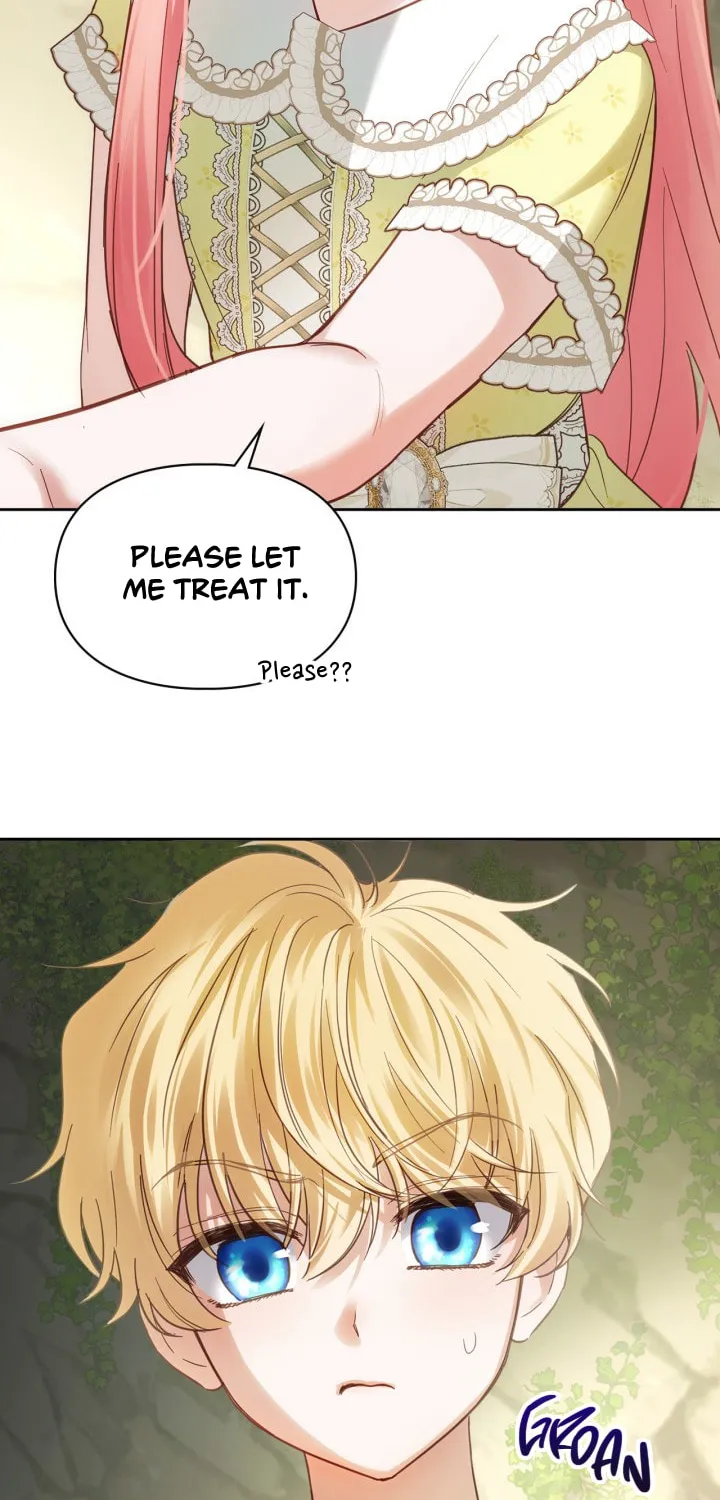 Read Baby Prisoner of the Winter Castle EN Manga Online