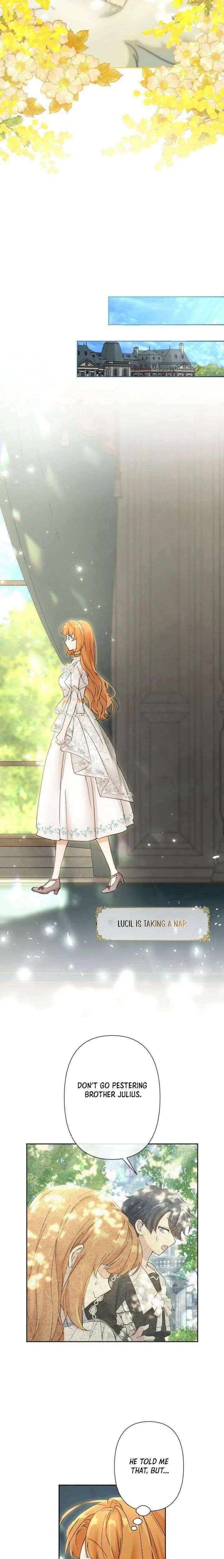 Read Became part of the family with the four brothers of the ducal EN Manga Online