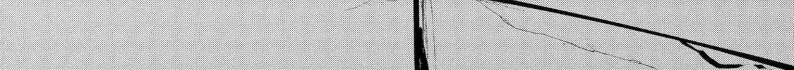 Read Betrothed to a Fox Demon EN Manga Online