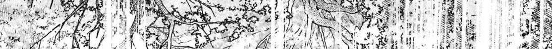 Read Betrothed to a Fox Demon EN Manga Online