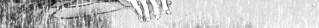Read Betrothed to a Fox Demon EN Manga Online