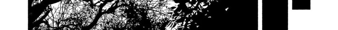 Read Betrothed to a Fox Demon EN Manga Online