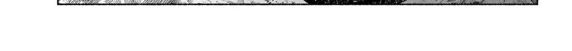 Read Betrothed to a Fox Demon EN Manga Online