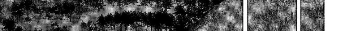 Read Betrothed to a Fox Demon EN Manga Online