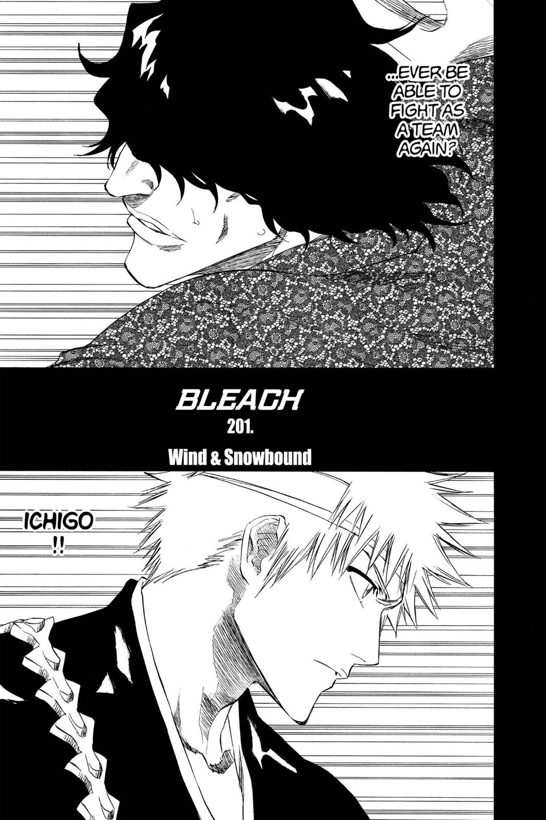 Read Bleach EN Manga Online