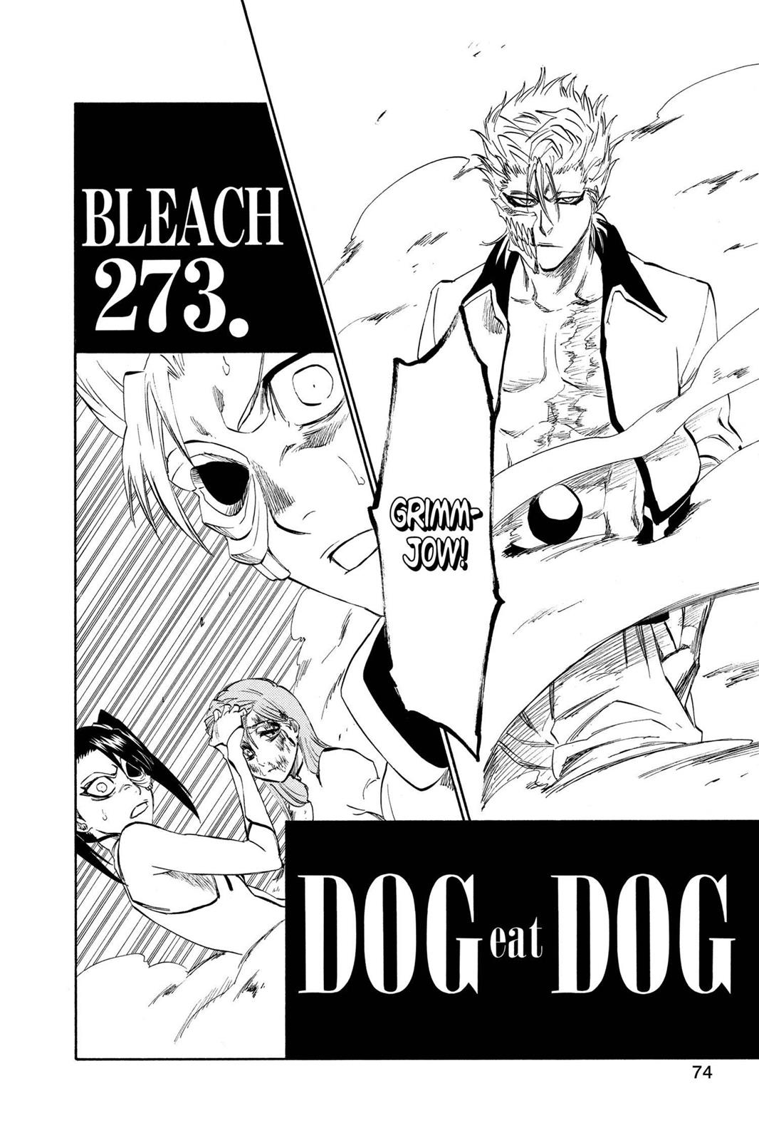 Read Bleach EN Manga Online