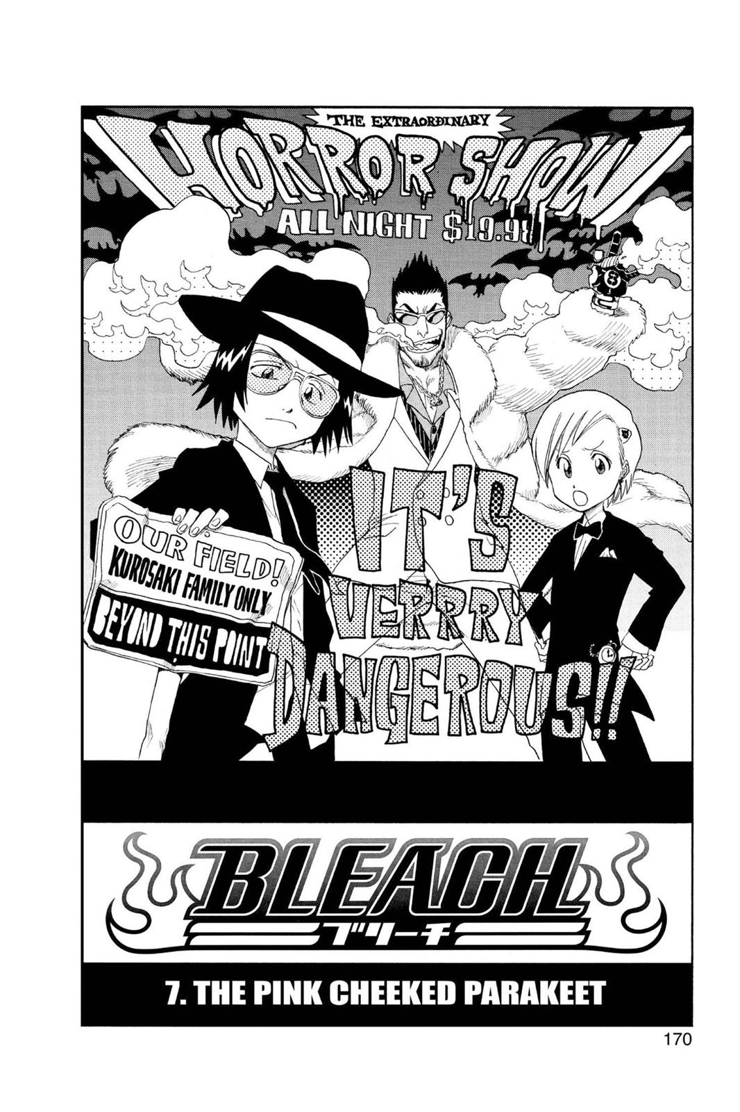 Read Bleach EN Manga Online