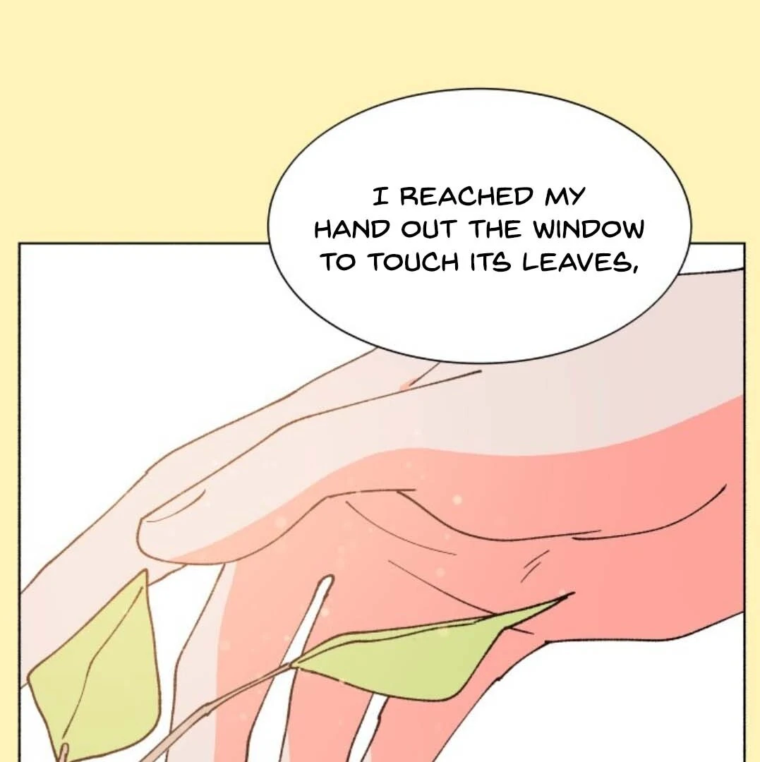 Read Dam of the Forest EN Manga Online