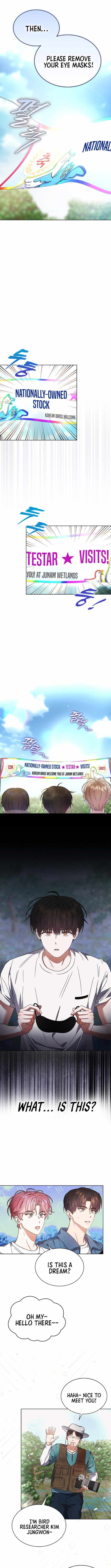 Read Debut or DieB EN Manga Online