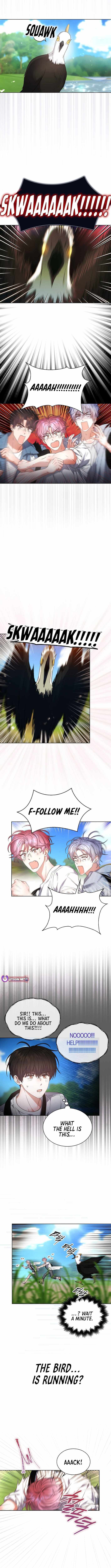 Read Debut or DieB EN Manga Online