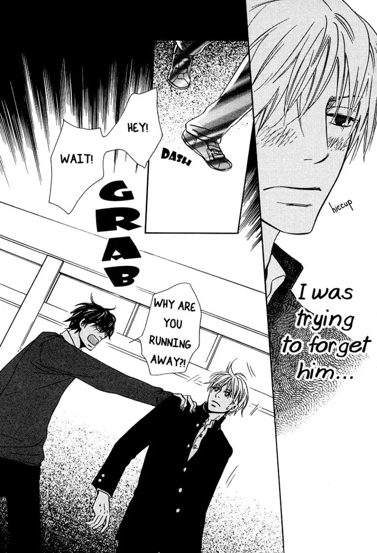 Read Designated Bully EN Manga Online