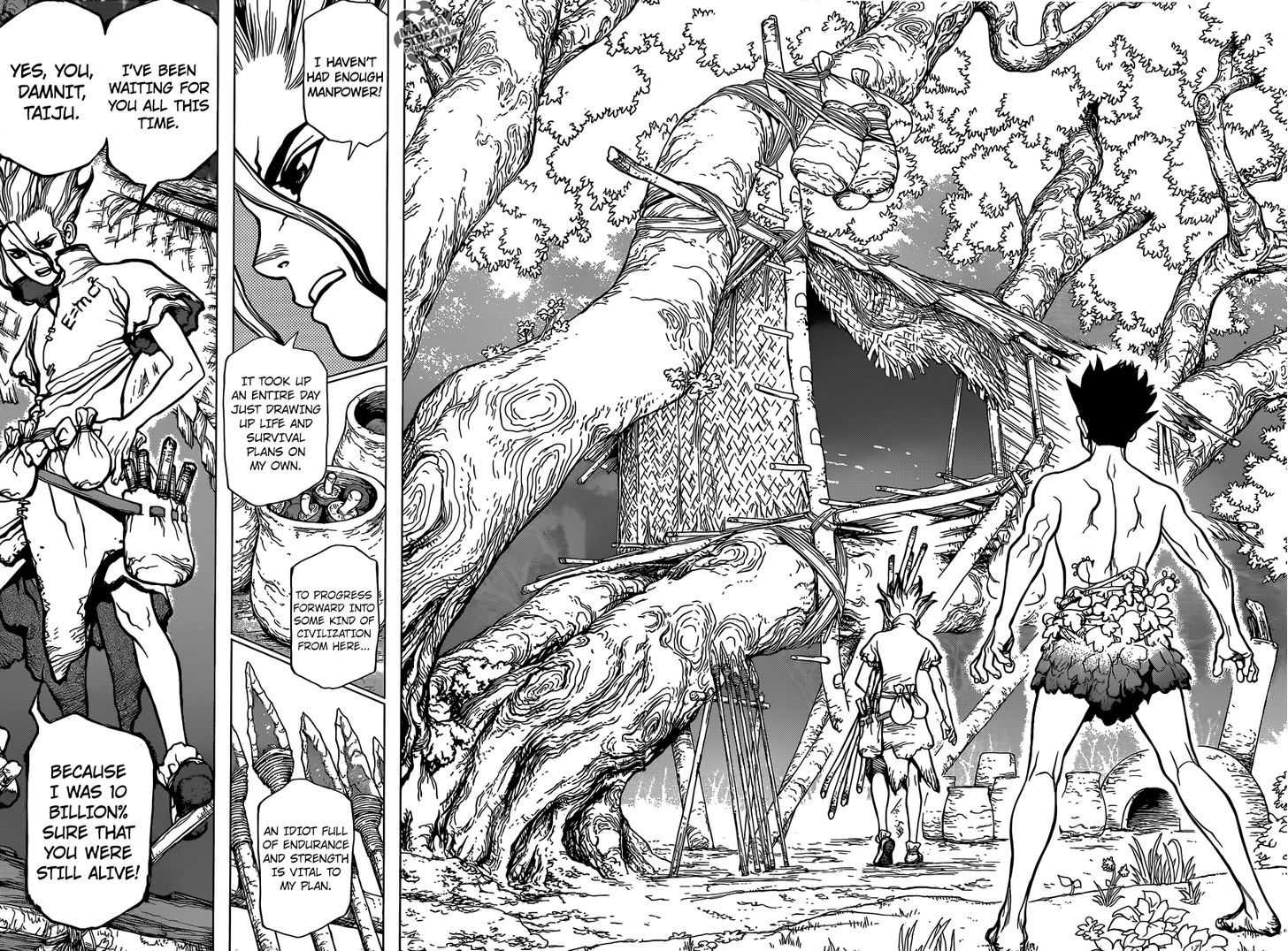 Read Dr. Stone EN Manga Online