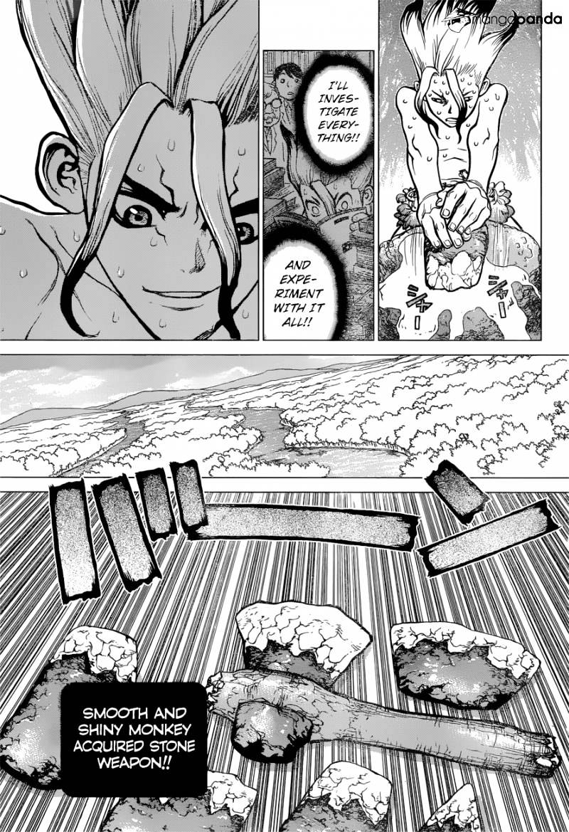 Read Dr. Stone EN Manga Online