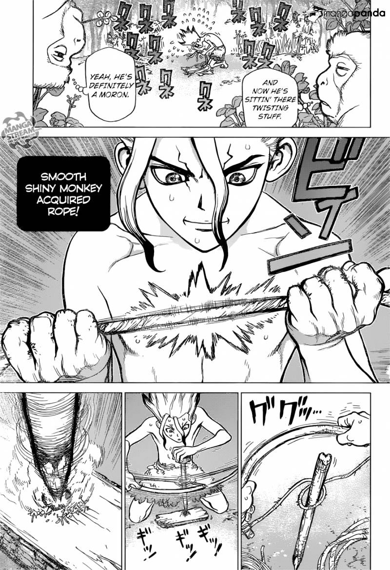 Read Dr. Stone EN Manga Online