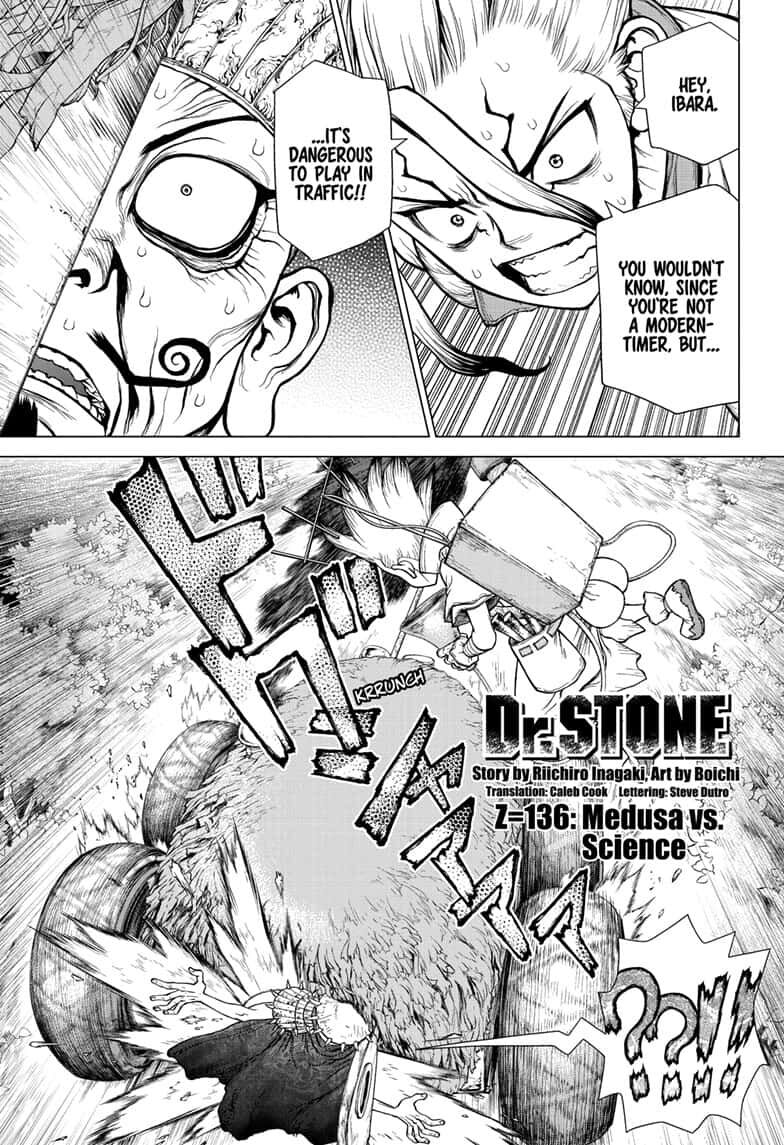 Read Dr. Stone EN Manga Online
