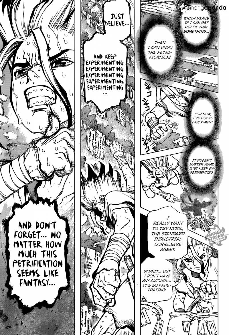 Read Dr. Stone EN Manga Online