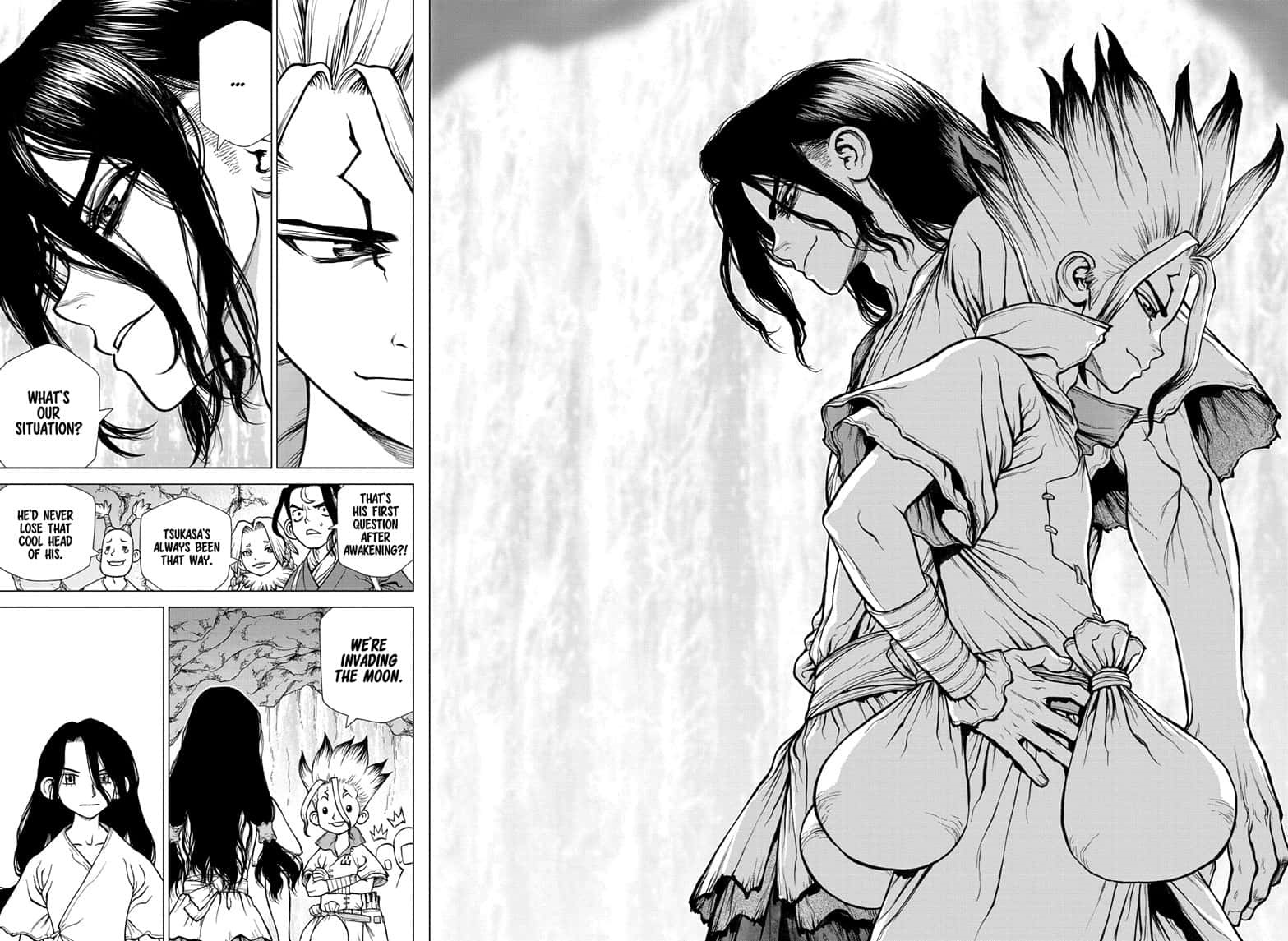 Read Dr. Stone EN Manga Online
