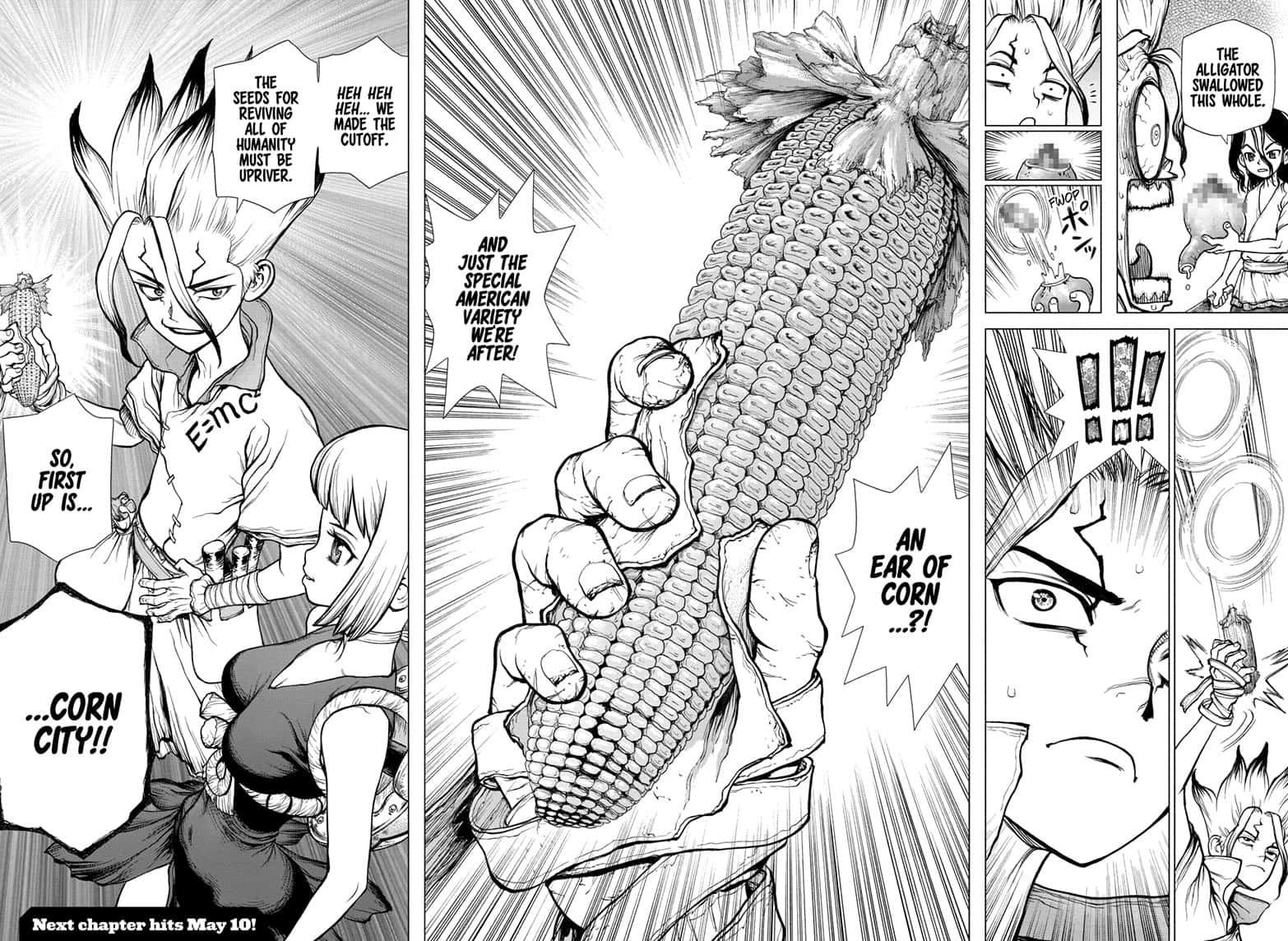 Read Dr. Stone EN Manga Online