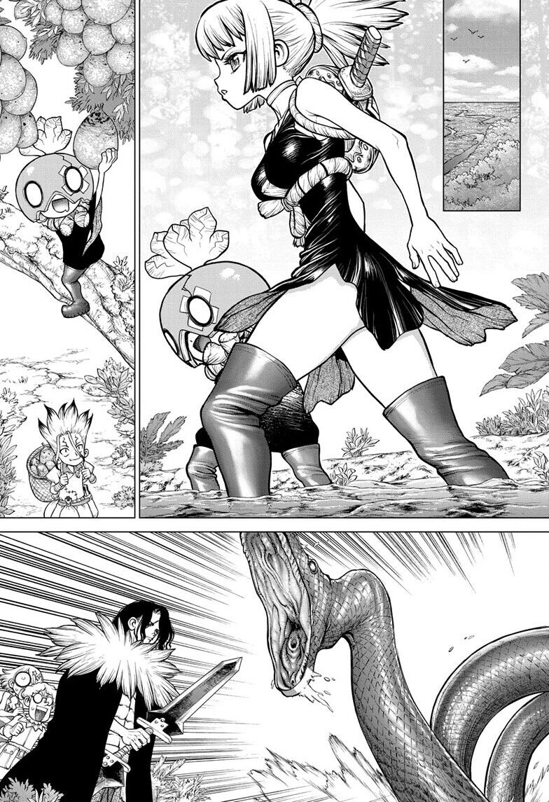 Read Dr. Stone EN Manga Online