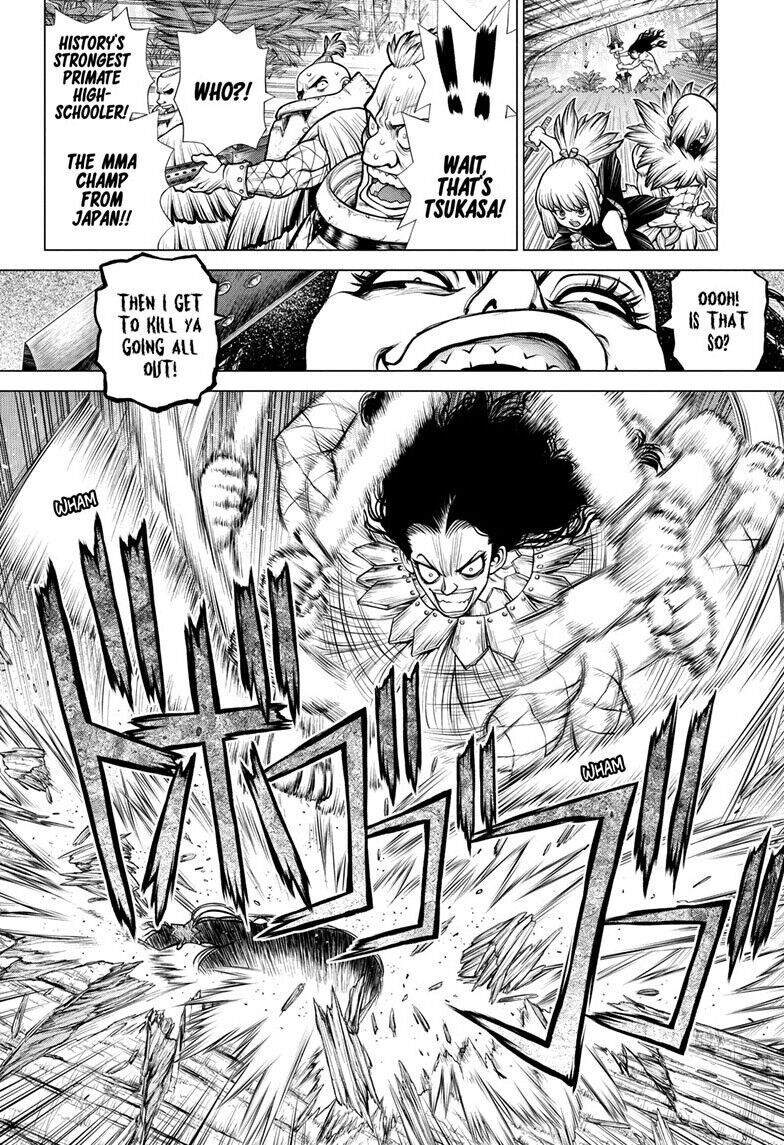 Read Dr. Stone EN Manga Online