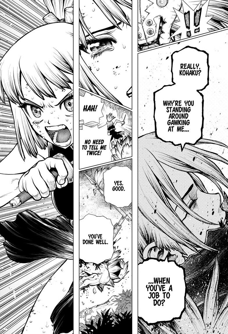 Read Dr. Stone EN Manga Online