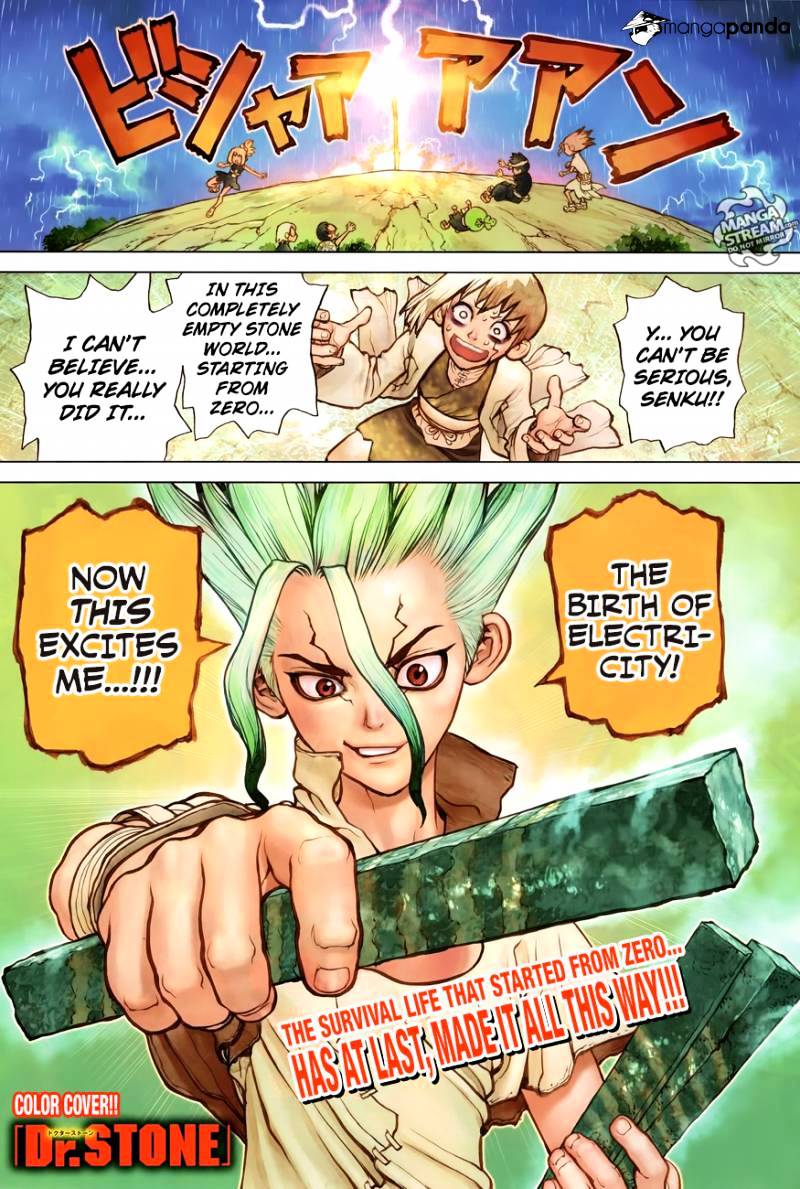 Read Dr. Stone EN Manga Online