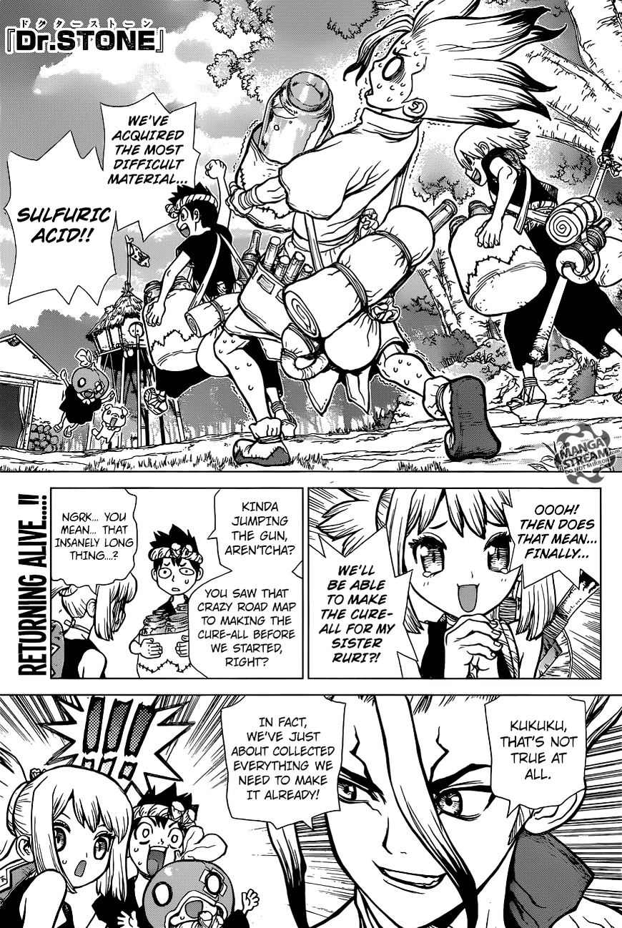 Read Dr. Stone EN Manga Online