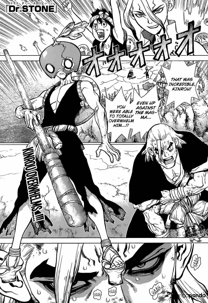 Read Dr. Stone EN Manga Online
