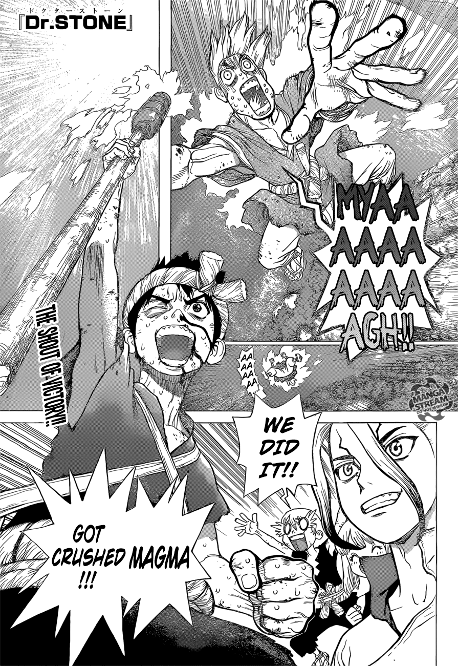 Read Dr. Stone EN Manga Online
