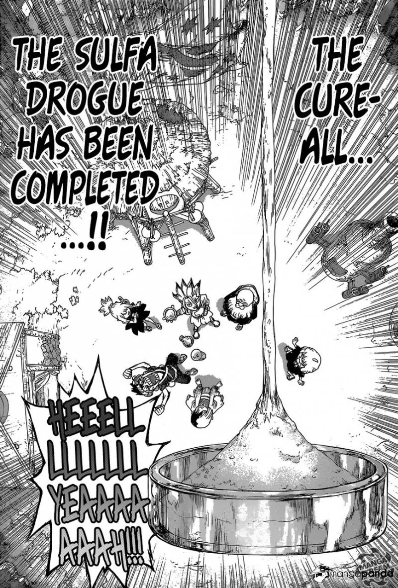 Read Dr. Stone EN Manga Online