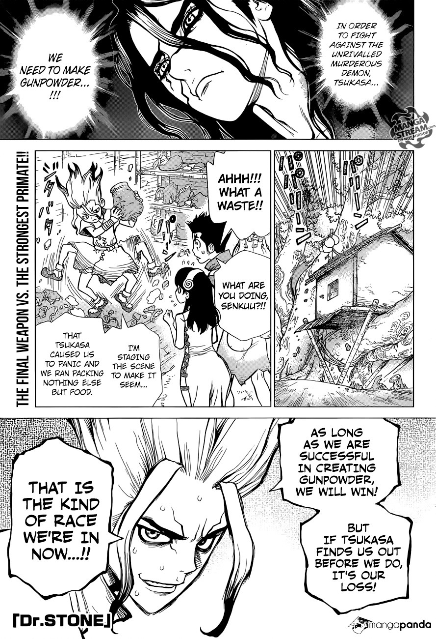 Read Dr. Stone EN Manga Online