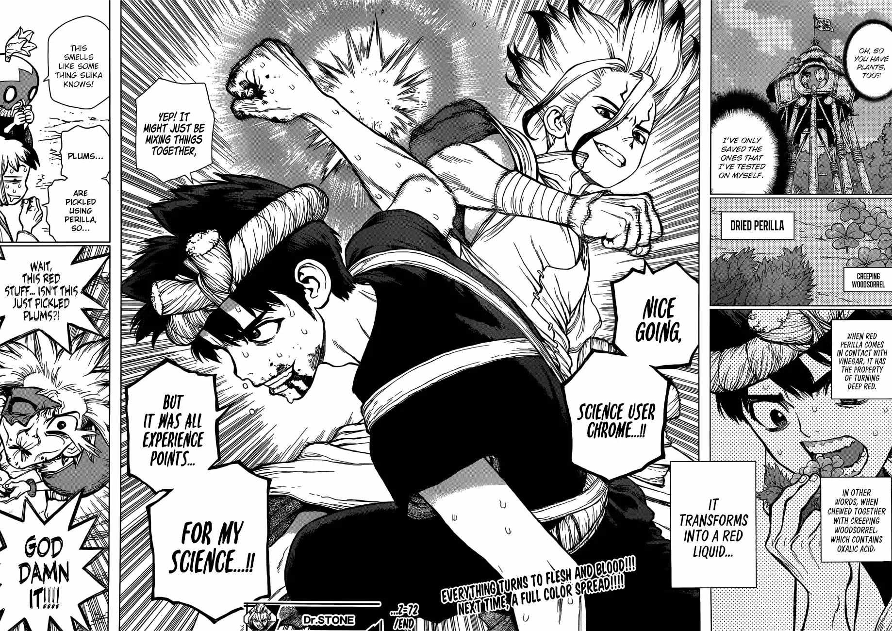 Read Dr. Stone EN Manga Online