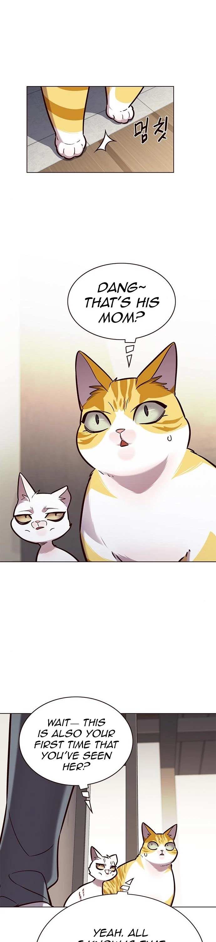 Read Eleceed EN Manga Online