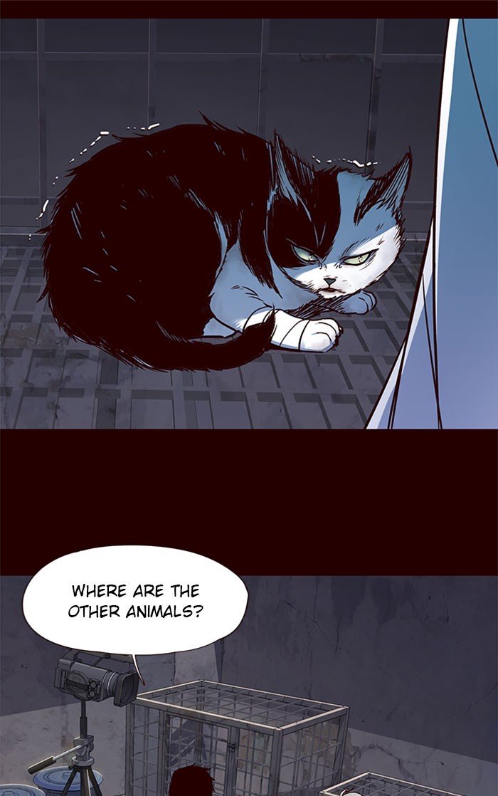 Read Eleceed EN Manga Online
