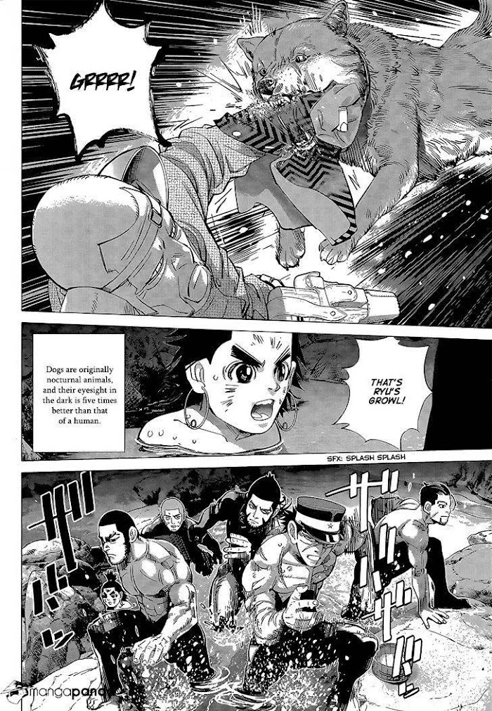 Read Golden Kamuy EN Manga Online