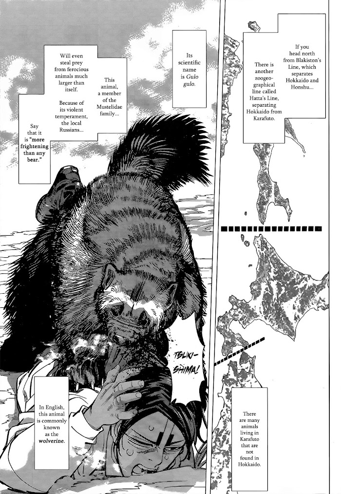 Read Golden Kamuy EN Manga Online
