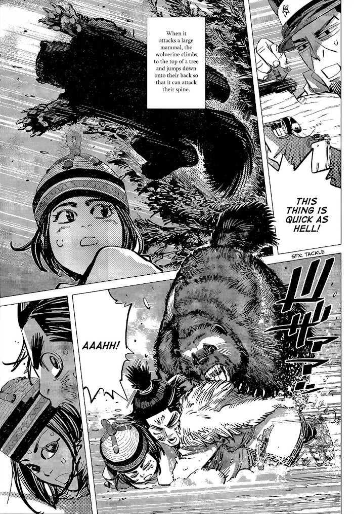 Read Golden Kamuy EN Manga Online
