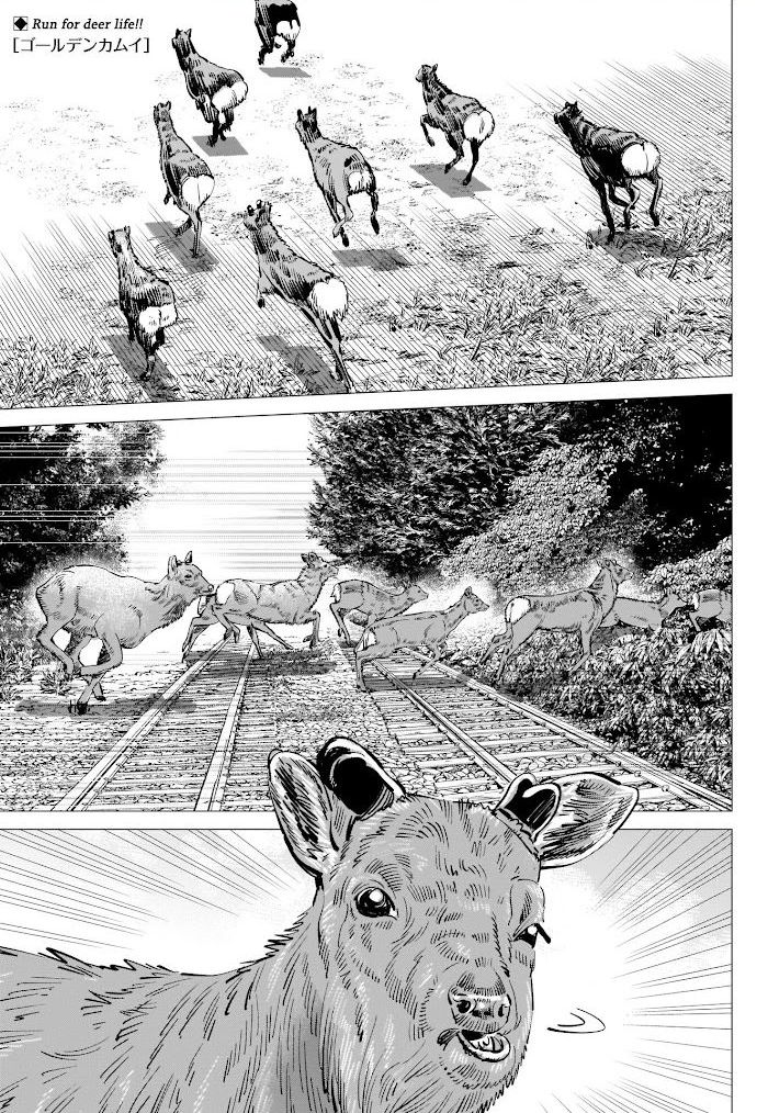 Read Golden Kamuy EN Manga Online