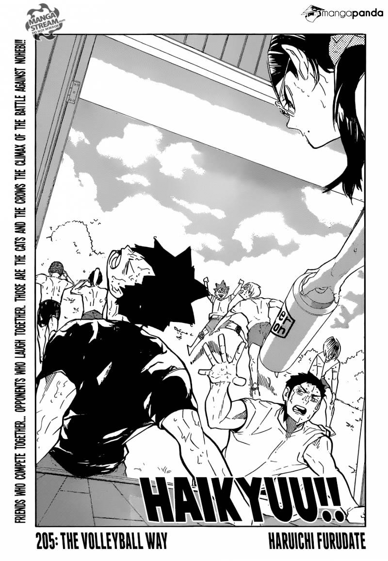 Read Haikyuu!! EN Manga Online