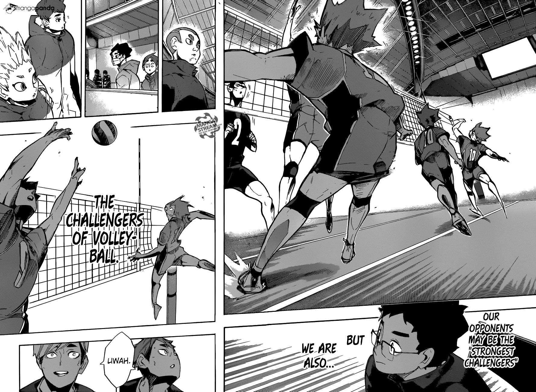 Read Haikyuu!! EN Manga Online