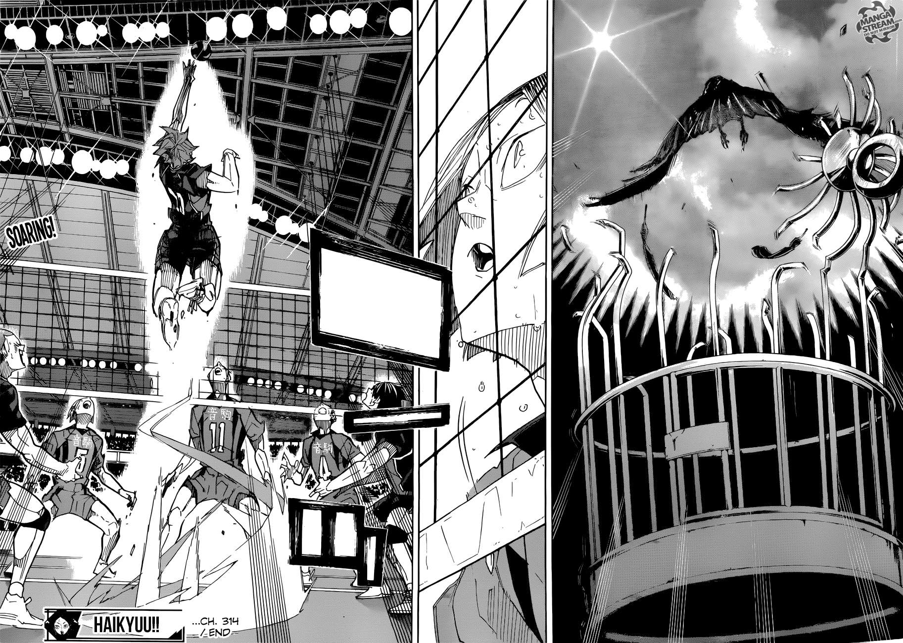 Read Haikyuu!! EN Manga Online