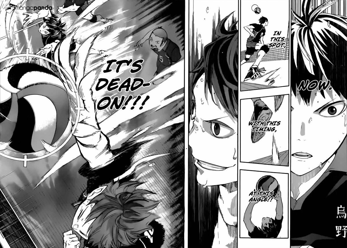 Read Haikyuu!! EN Manga Online