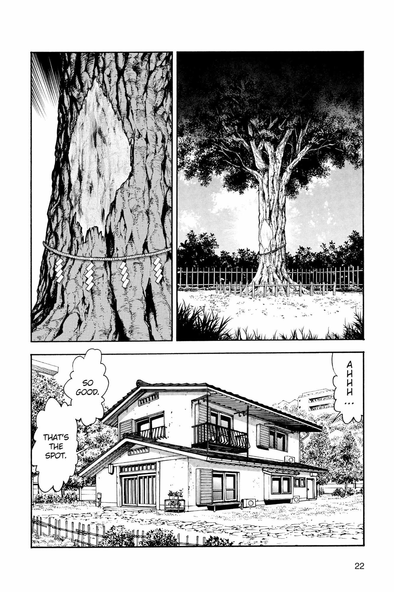 Read Hanyo no Yashahime EN Manga Online