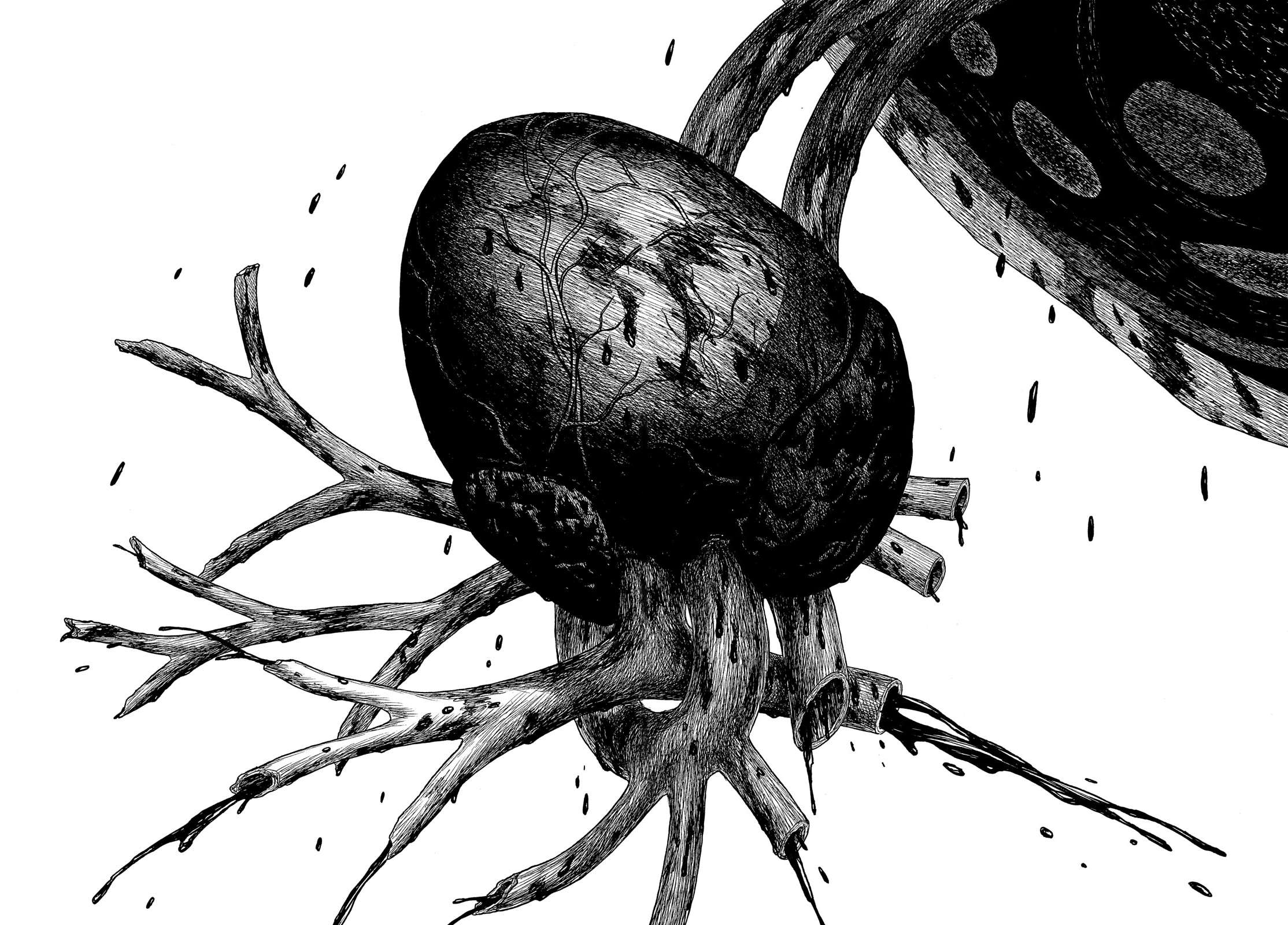 Read Historie EN Manga Online