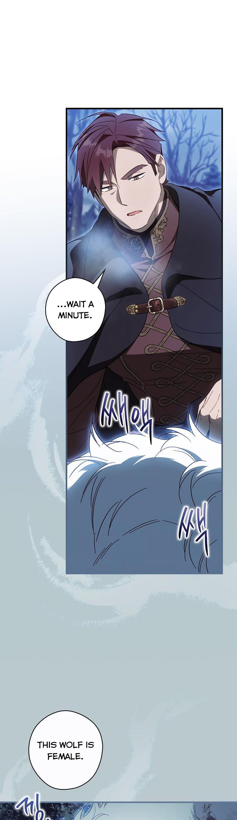 Read How to Get My Husband on My Side EN Manga Online