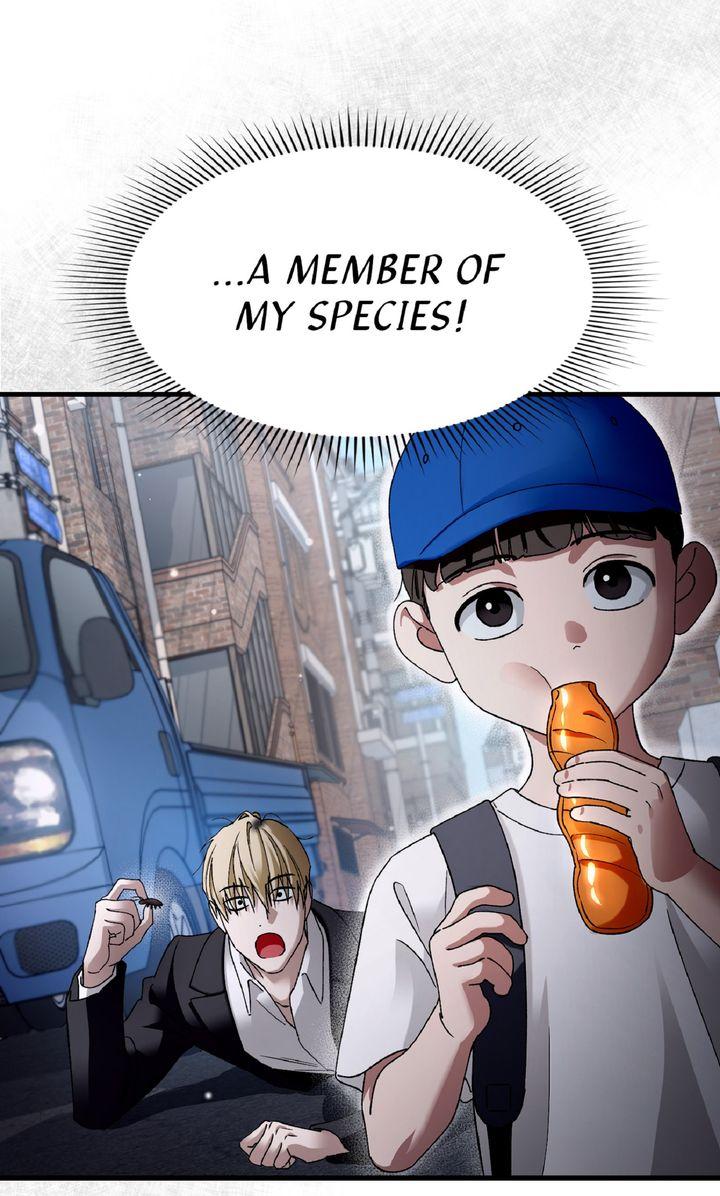 Read Illusion Hunter from Another World EN Manga Online