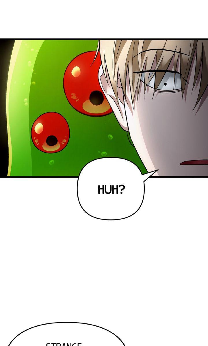 Read Illusion Hunter from Another World EN Manga Online