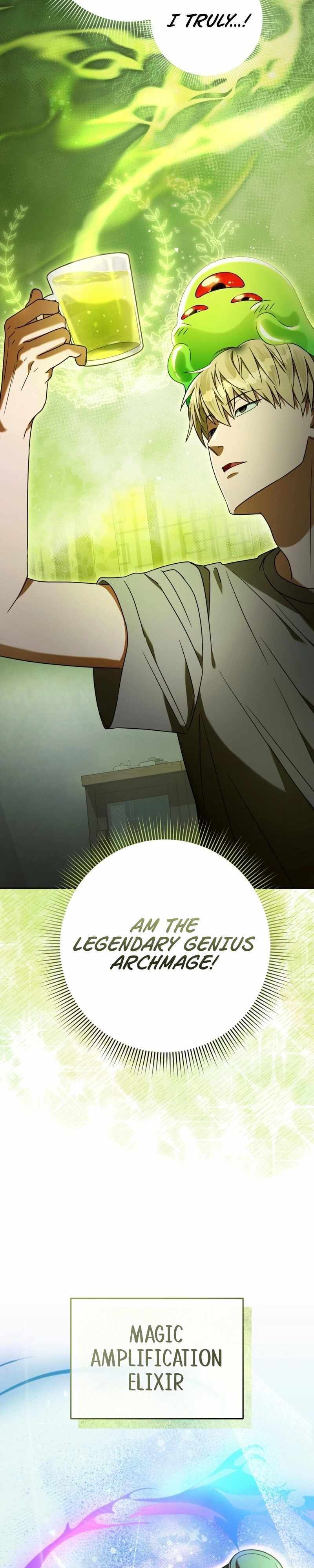 Read Illusion Hunter from Another World EN Manga Online