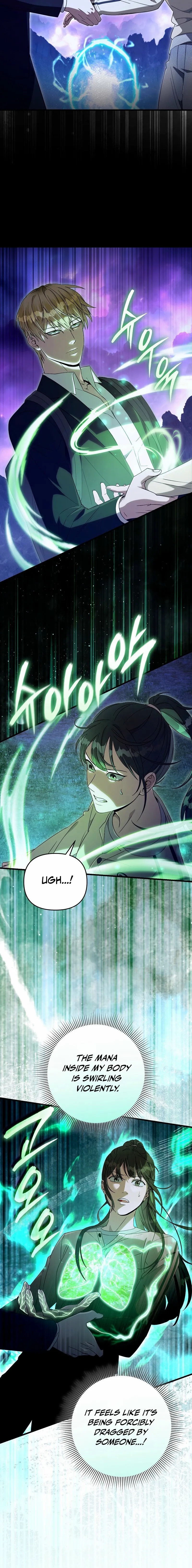 Read Illusion Hunter from Another World EN Manga Online