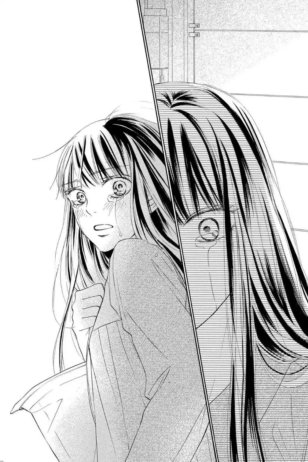 Read Kimi Ni Todoke EN Manga Online